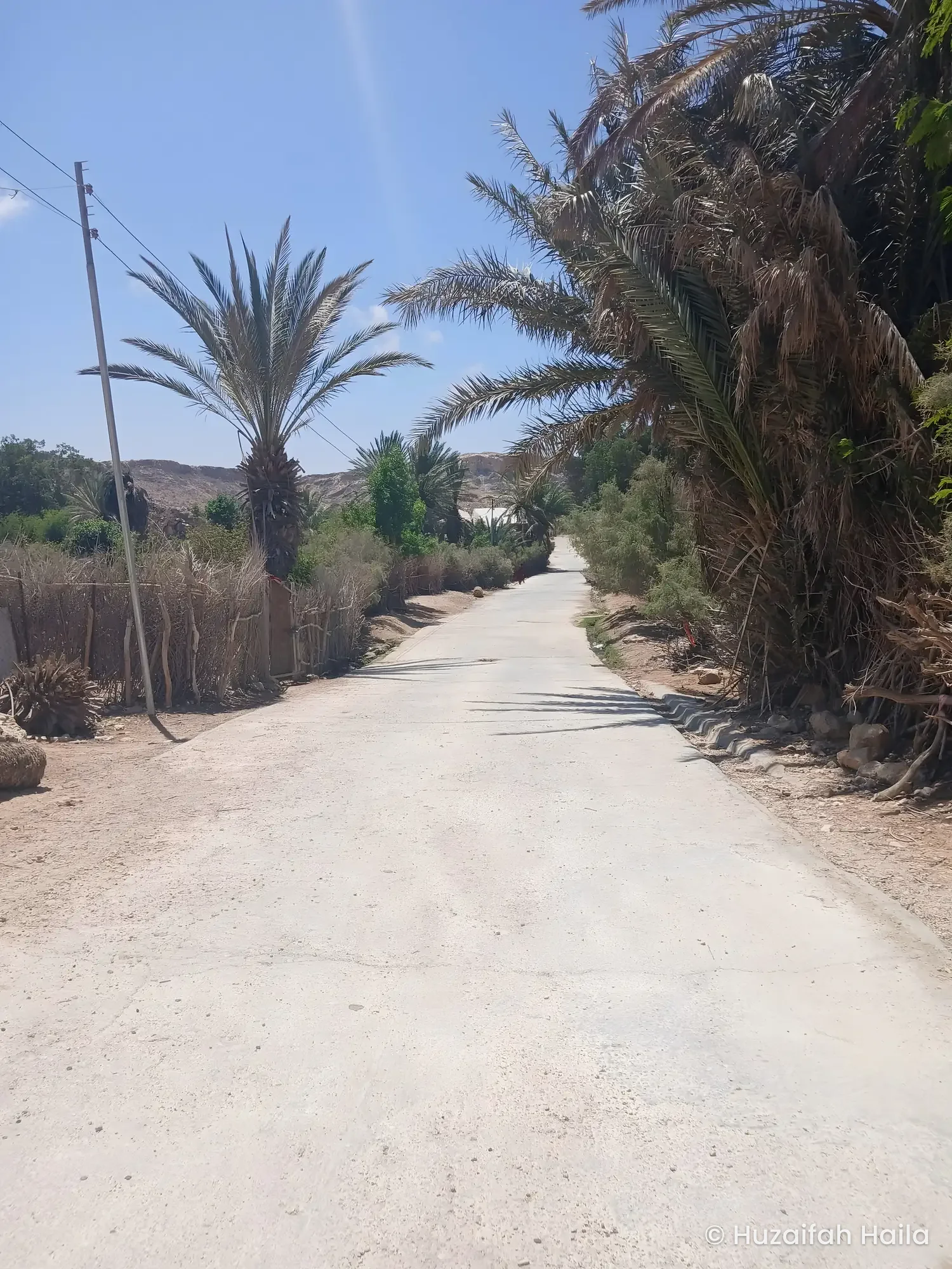 Palm lined road, Eyl, Somalia